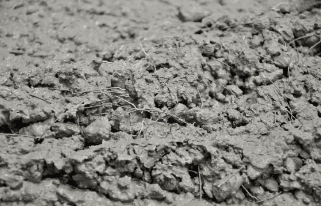 Fiber-Reinforced Concrete